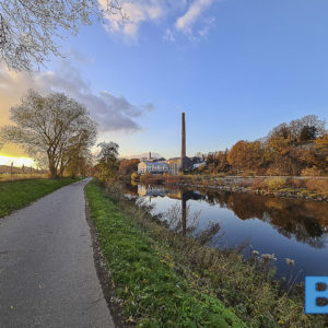 20201120_155939 Beitrag: Ausgesetze Aquarienfische im Regenrückhaltebecken Zeche Holland gefunden