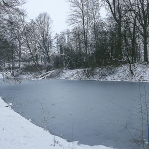 571_BOCHUN20210208_-5 Beitrag: Schnee und Eis halten Feuerwehr in Atem