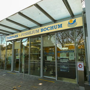 Bochum im Spaetherbst 10.12.2020 – Beitrag: BNE-Zukunftstag im Tierpark Bochum am 26.09.