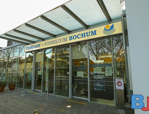 Fotokurs im Tierpark Bochum