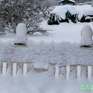 IMG_5586 Beitrag: Glimpflicher Rodelunfall