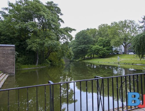 Fischbergung im Stadtpark: Vorbereitung für nächsten Sanierungsabschnitt startet