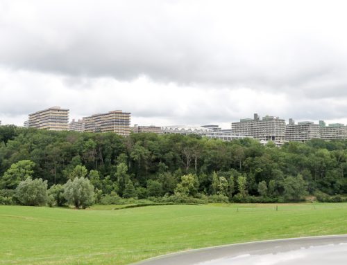 CEO-Dialog an der Ruhr-Universität