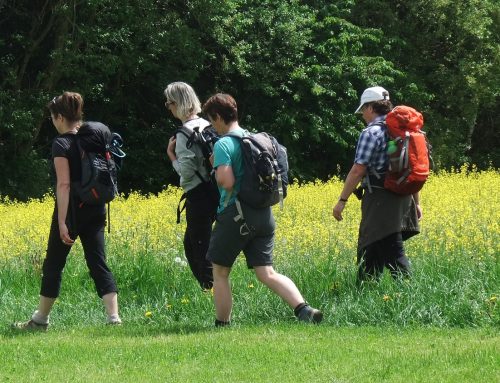 Stadt Bochum sucht Ehrenamtliche für die Naturschutzwacht