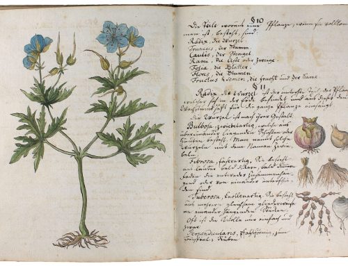 Schaufenster Stadtgeschichte präsentiert: „Carl Arnold Kortums Lehrbuch der Botanik“