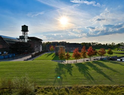 Herbstliche Natur-Exkursion: Wilde Kräuter im Westpark
