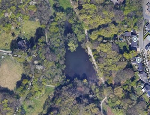 Neuer Aussichtssteg entsteht am Teich im Volkspark Hiltrop