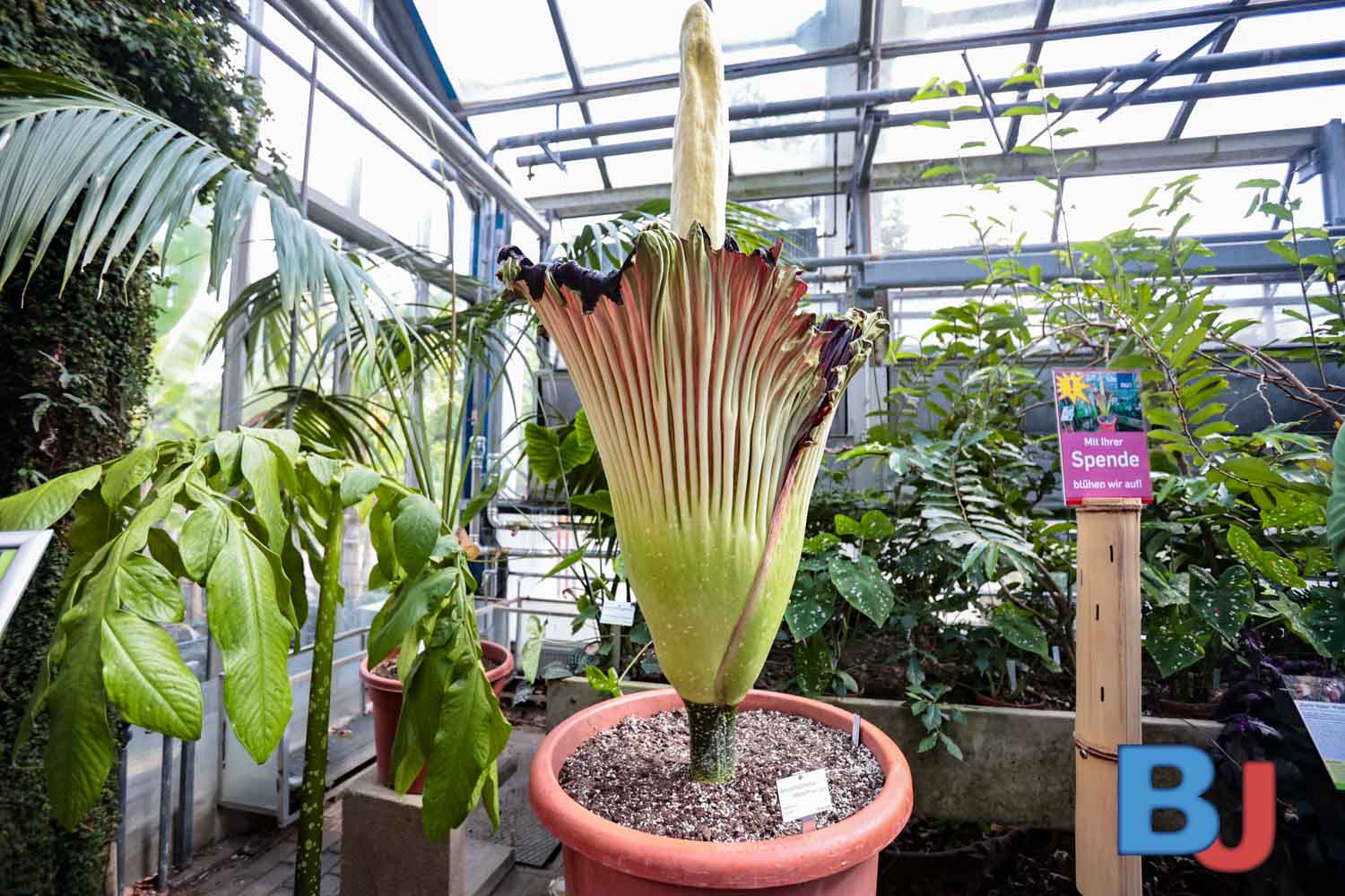 SES_BOCTIW20250506-4 Beitrag: Bochumer Projekte im Fokus: Beispiele aus der neuen RVR-Projektlandkarte