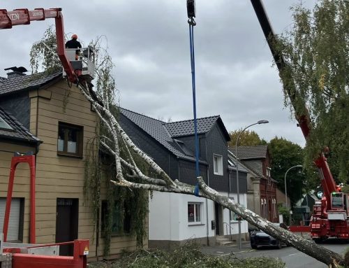 Baum stürzt auf Haus in Bochum-Linden