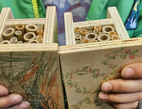 „Wildbiene Ida“ fördert Artenvielfalt an Bochumer Schulen