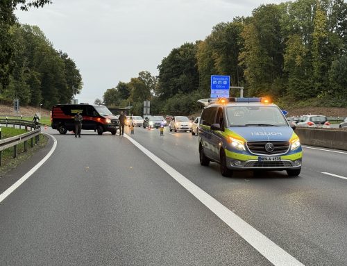 Wildschweinrotte sorgt für Vollsperrung auf der A40