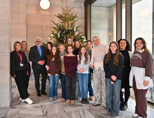Rathaus zeigt Weihnachtsbaum als Zeichen für Frieden und Vielfalt
