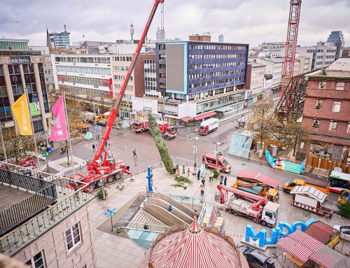 Weihnachtsbaum auf dem Rathausvorplatz aufgestellt
