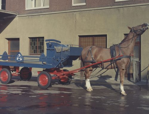 Bochumer Stadtarchiv zeigt im November das Brauereipferd „Alerich“