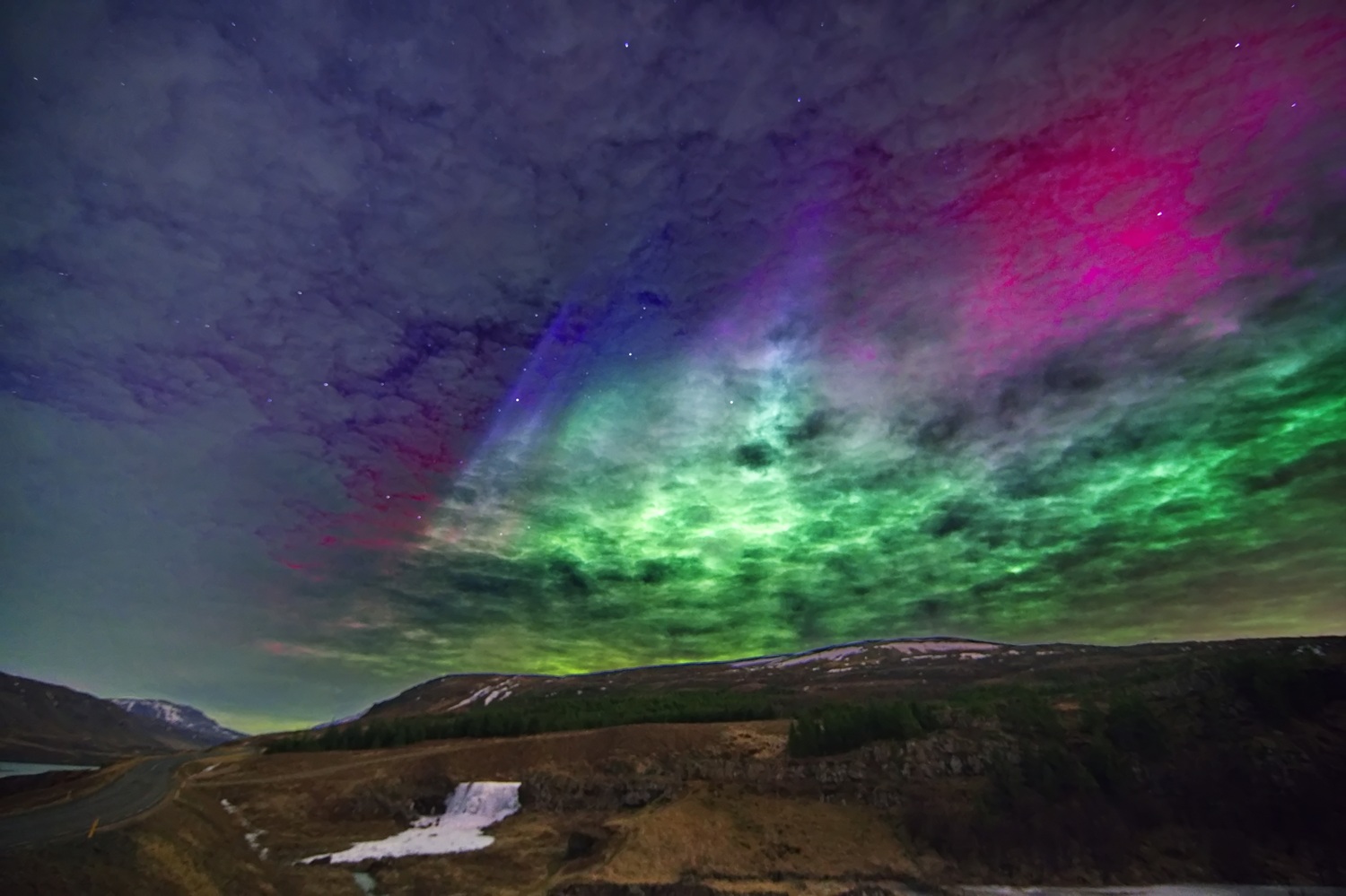 Beitrag: Skandinavischer Weihnachtszauber erstmals im Tierpark Bochum