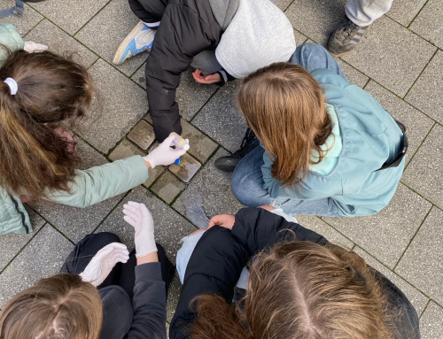 Bochumer Stolpersteine glänzen wieder – über 400 Engagierte