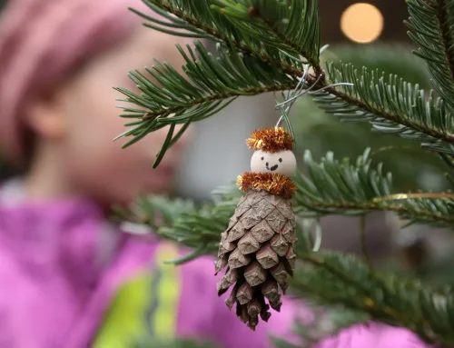 Wattenscheid schmückt gemeinsam – 40 Tannenbäume in der Innenstadt
