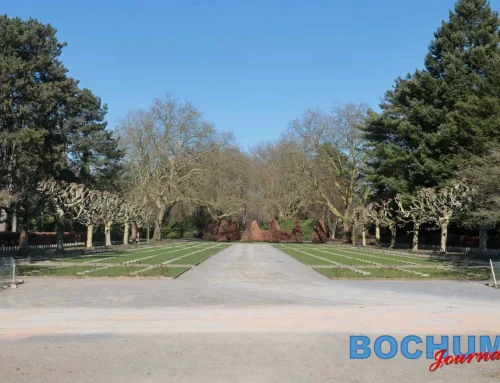 Grabanlage geschändet: Rosenstöcke auf Hauptfriedhof gestohlen