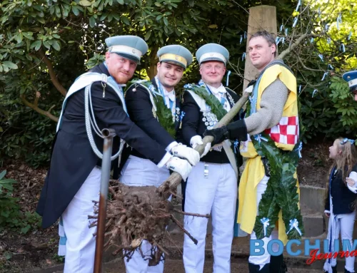 Eiche erreicht die Innenstadt – Höhepunkt des 638. Maiabendfestes