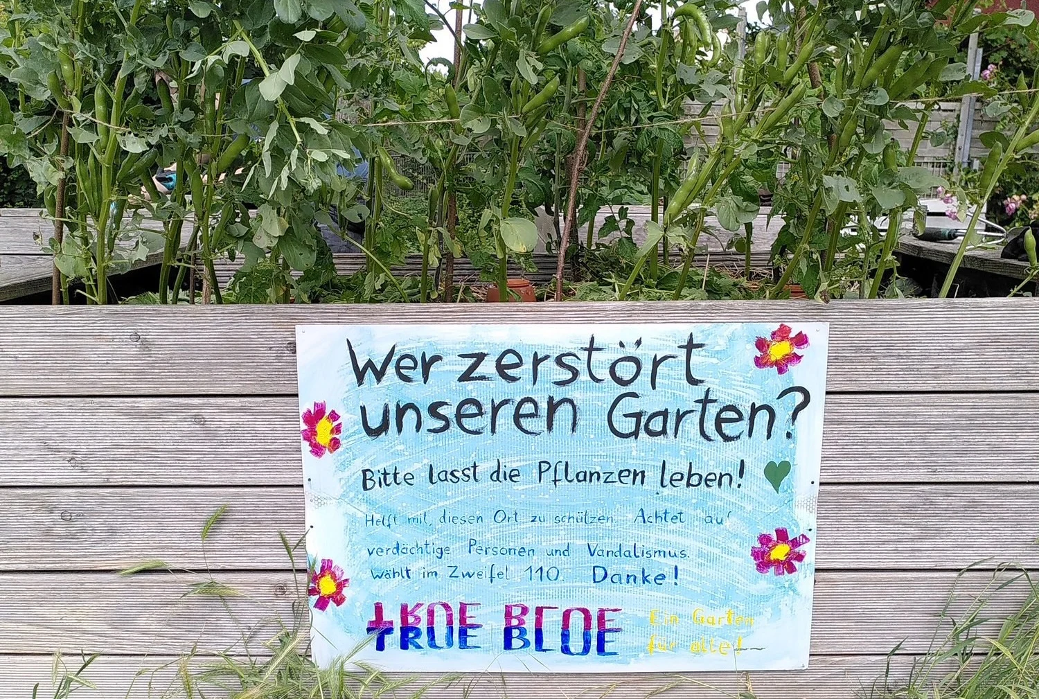 Beitrag: Stadt sucht Zeugen nach Vandalismus im Färbergarten