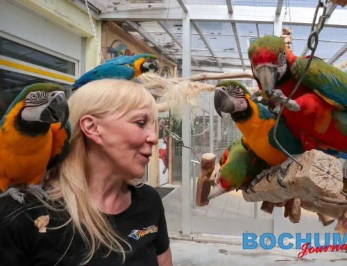 40 Jahre Papageienpark Bochum feiert das große Jubiläum