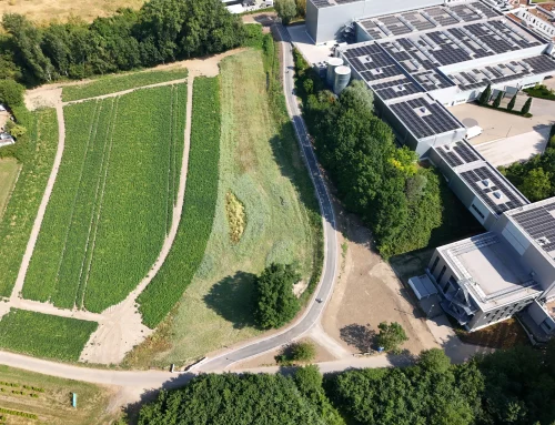 Lückenschluss in Hiltrop: Neuer Geh- und Radweg fertiggestellt