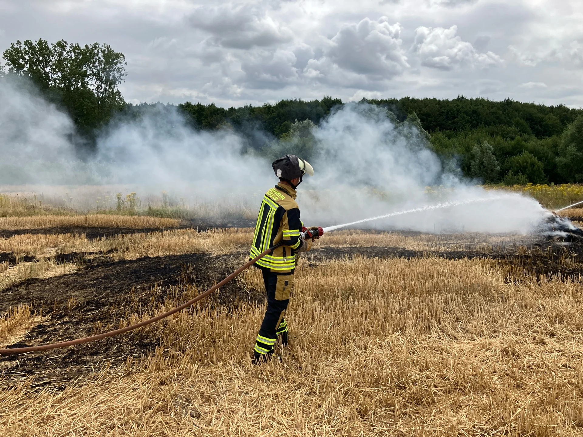 Vegetationsbrand Beitrag: Raub, Verkehrsunfall und Stoppelfeldbrand