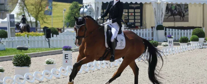 Charlotte Schindler mit Leomax bei den Deutschen Meisterschaften auf dem Longines Balve Optimum 2025