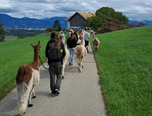 Modellprojekt MeKi hilft medienabhängigen Jugendlichen