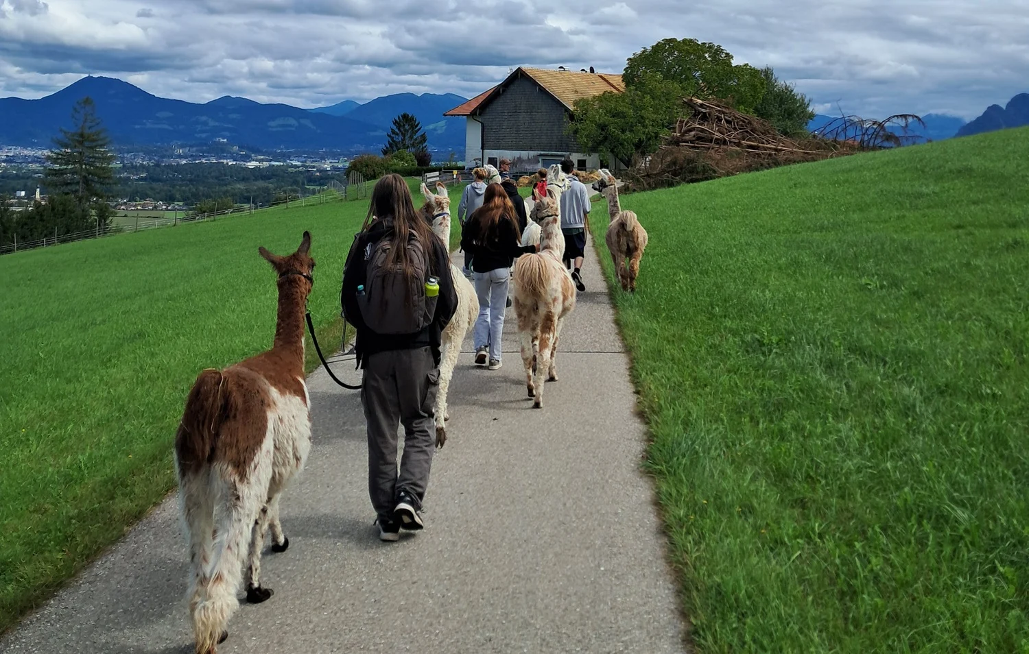 Modellprojekt MeKi hilft medienabhängigen Jugendlichen