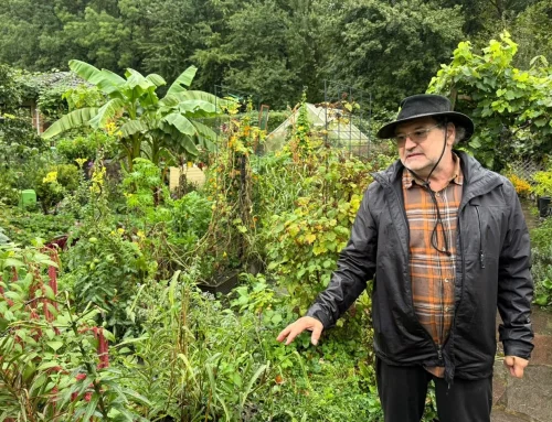 Bezirksbürgermeister Dirk Meyer beim Wandertag der Bochumer Kleingärtner