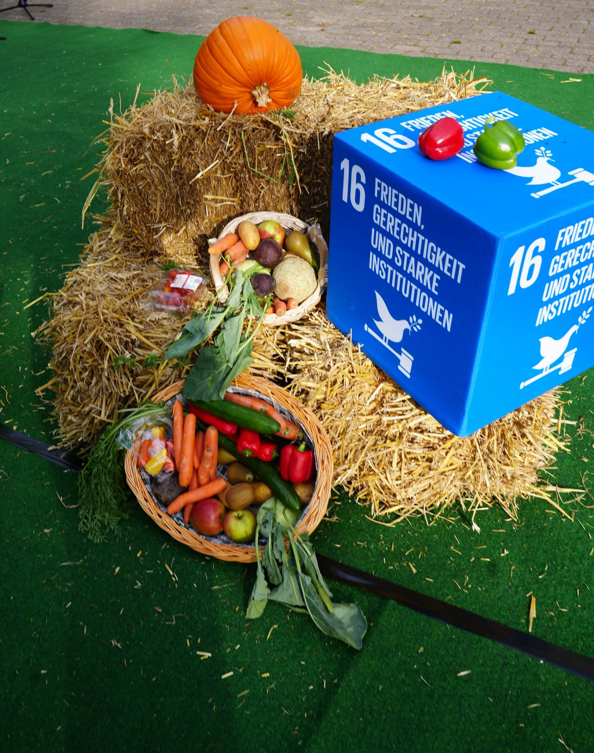 Foto©Tierpark Bochum_4 Beitrag: Tierisch nachhaltig: Großes Herbstfest im Tierpark