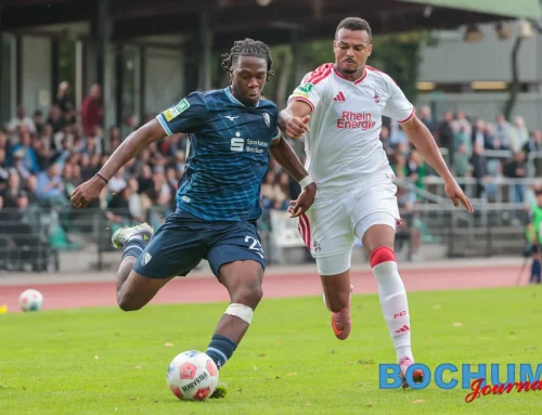 U21 des VfL Bochum unterliegt Köln II deutlich