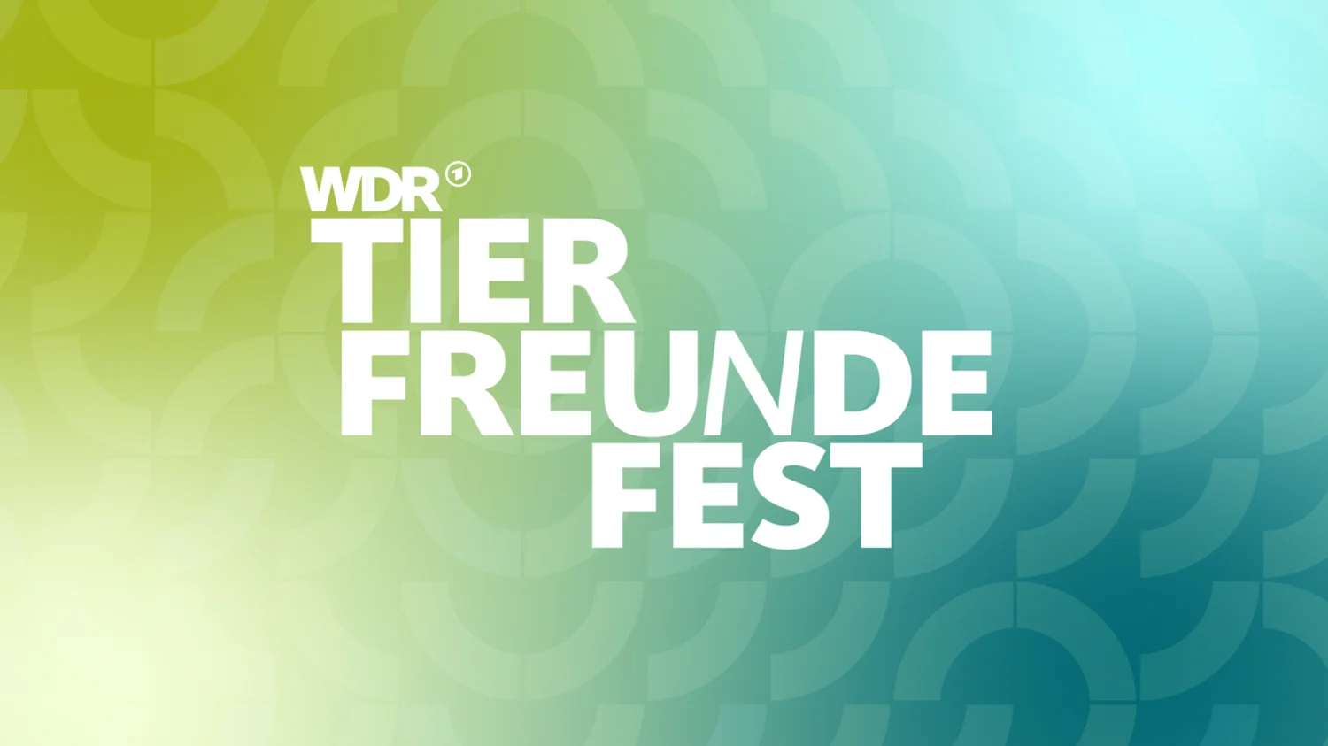 WDR-Tierfreundefest_Keyvisual Beitrag: WDR-Tierfreundefest im Tierheim Bochum