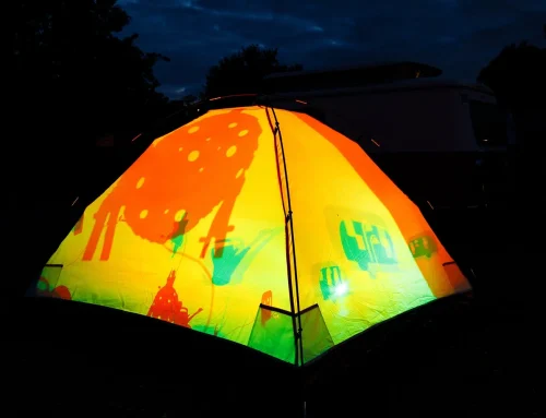 Kunstprojekt „WITHIN“: Lichtinstallation und Schattenspiel