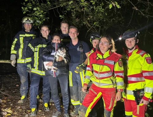 Feuerwehr befreit Terrier aus unterirdischem Fuchsbau