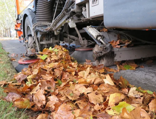 USB Bochum startet mit 3.000 Laubkörben in die Herbstsaison