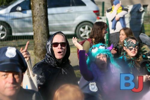 Rosenmontagsumzug Lindwurm