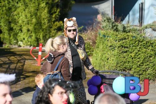 Rosenmontagsumzug Lindwurm