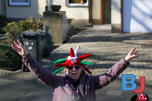 Rosenmontagsumzug Lindwurm