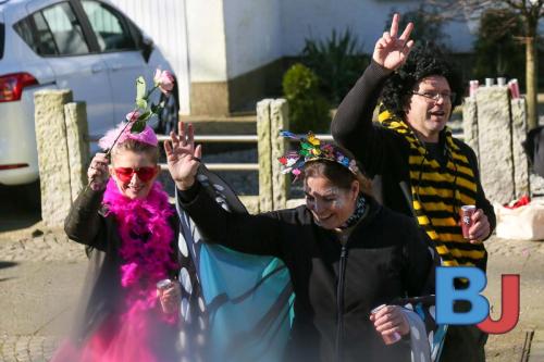 Rosenmontagsumzug Lindwurm