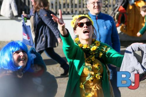 Rosenmontagsumzug Lindwurm