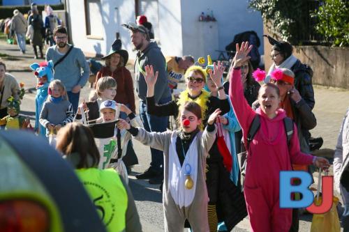 Rosenmontagsumzug Lindwurm