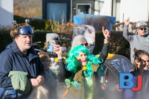 Rosenmontagsumzug Lindwurm