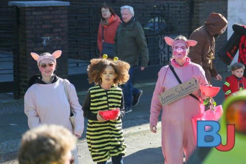 Rosenmontagsumzug Lindwurm