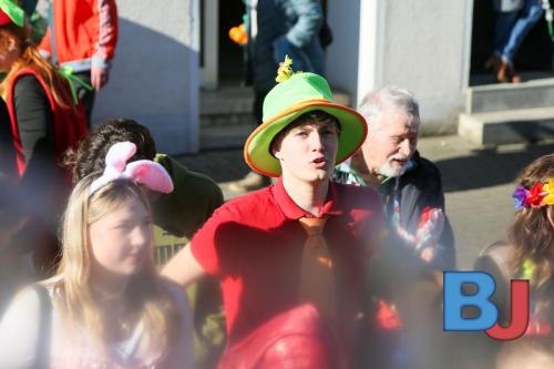 Rosenmontagsumzug Lindwurm