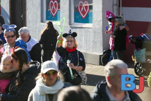 Rosenmontagsumzug Lindwurm