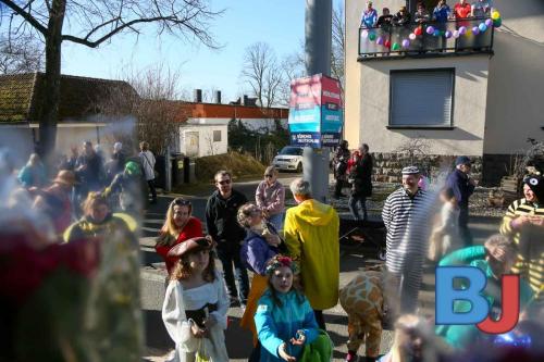 Rosenmontagsumzug Lindwurm