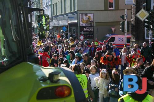 Rosenmontagsumzug Lindwurm