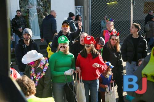 Rosenmontagsumzug Lindwurm